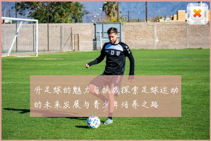升足球的魅力与挑战探索足球运动的未来发展与青少年培养之路