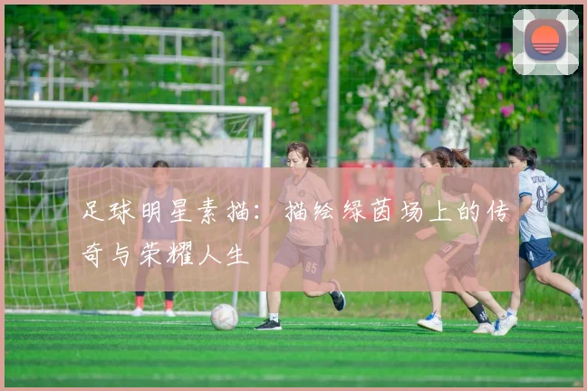 足球明星素描：描绘绿茵场上的传奇与荣耀人生
