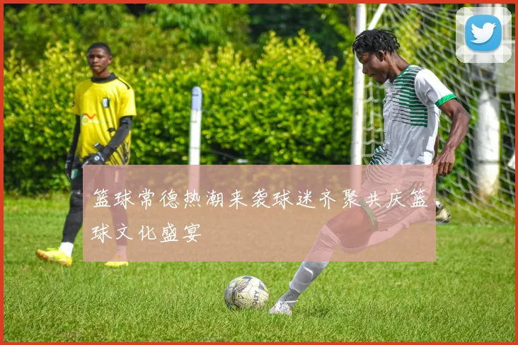 篮球常德热潮来袭球迷齐聚共庆篮球文化盛宴