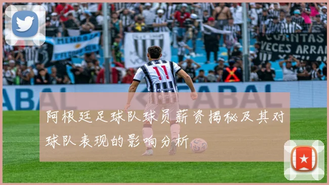 阿根廷足球队球员薪资揭秘及其对球队表现的影响分析
