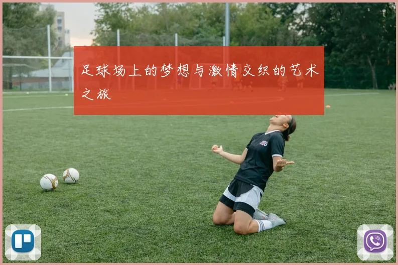 足球场上的梦想与激情交织的艺术之旅